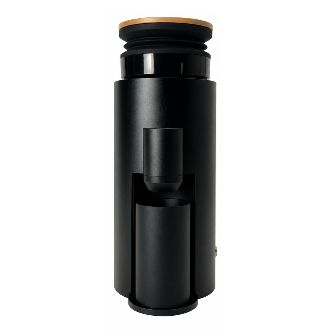 DC54 Conical Burr Coffee Grinder
